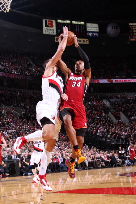 的死忠粉 的死忠粉